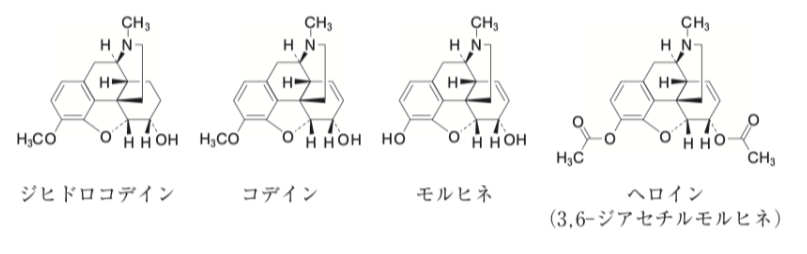 解説画像